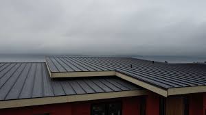 Steel Roofing in Marshallton, PA